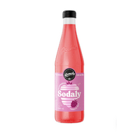 Remedy Sodaly Raspberry 330ml 