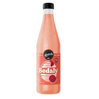 Remedy Sodaly Blood Orange 330ml 