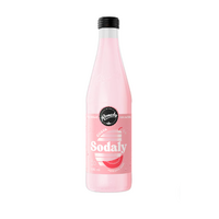 Remedy Sodaly Guava 330ml