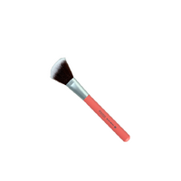 Benecos Blush Brush Colour Edition