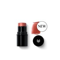 Dr Hauschka Lip to Cheek Apricot 01 6.1g